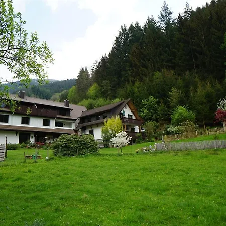 Kandel - Stubenhof, Black Forest Apartment